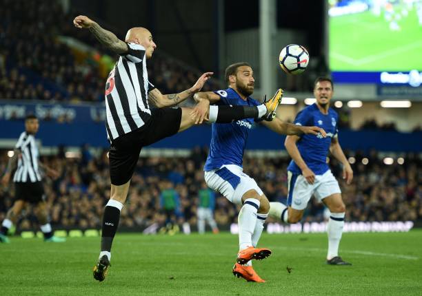 竞争与高度 竞争与高度